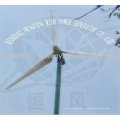 Горизонтальные постоянного магнита Ветер турбины 15KW